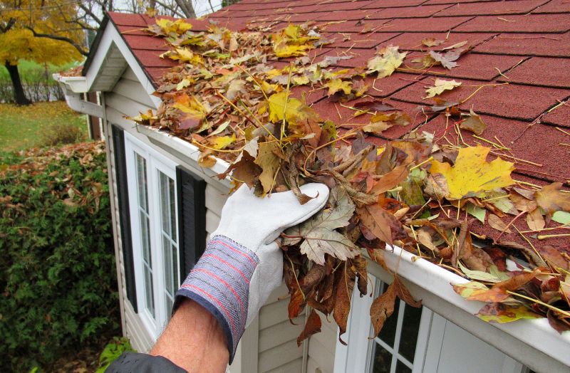 Seasonal Gutter Care